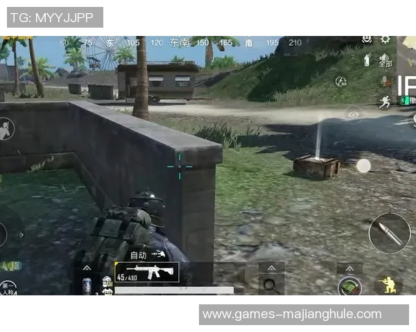 2026电竞新闻与李丽畅谈和平精英的成长与挑战之路